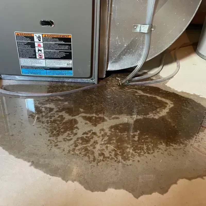 Appliance Leak Cleanup in Poplar Grove, IL